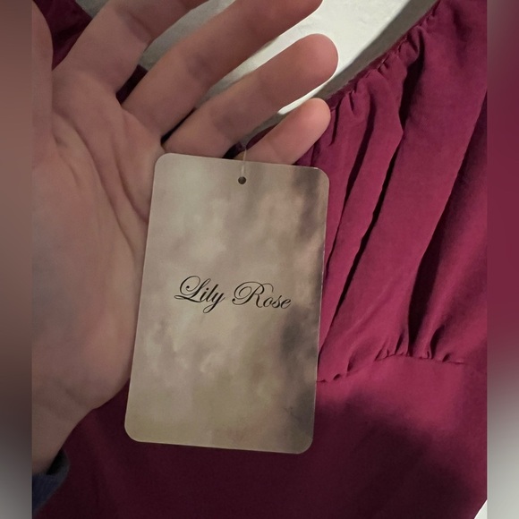 NWT Lily Rose Mini Dress with Tie Detail/Open Back Size L - Picture 3 of 5